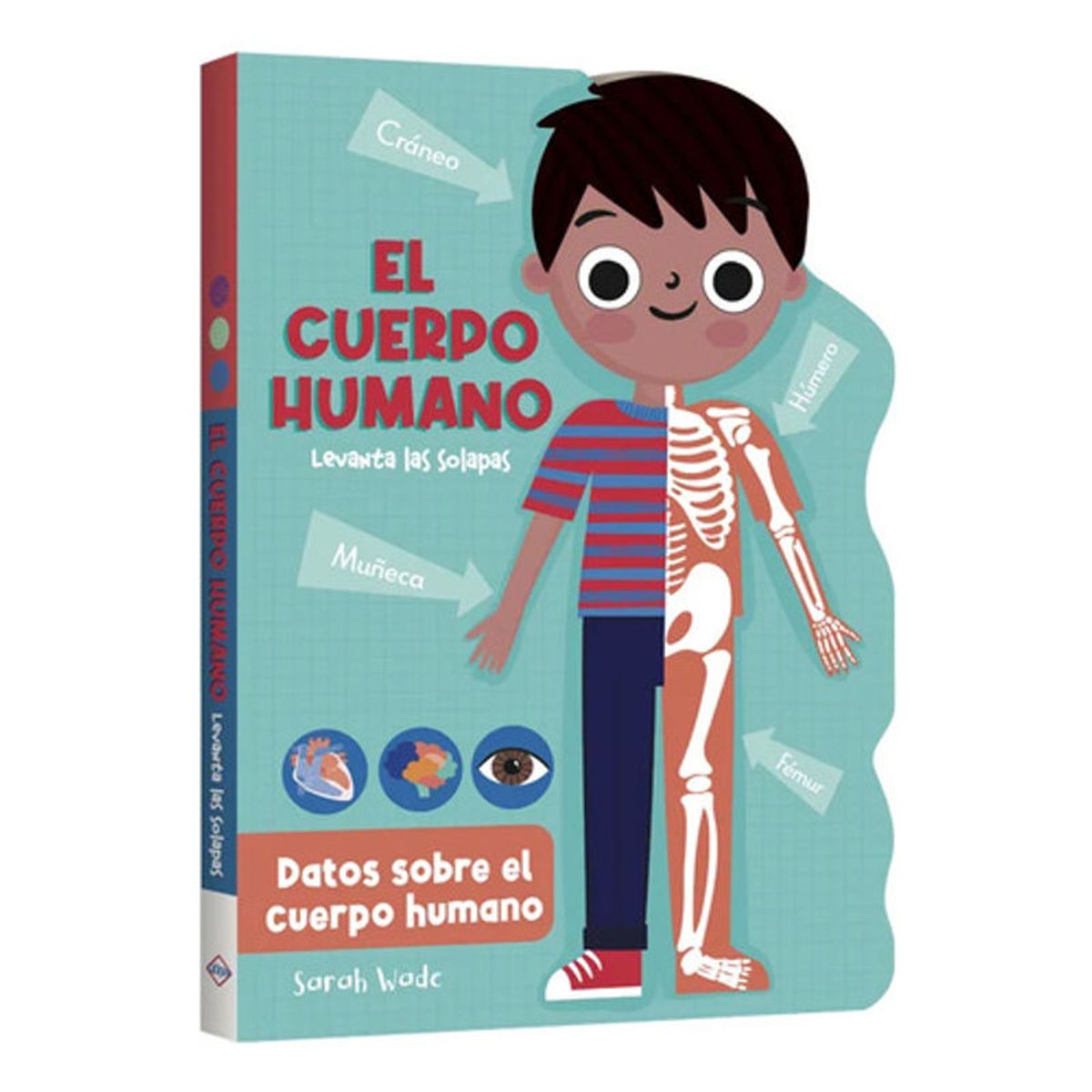 LEXUS - Datos Sobre El Cuerpo Humano - Levanta Solapas - Lexus Td