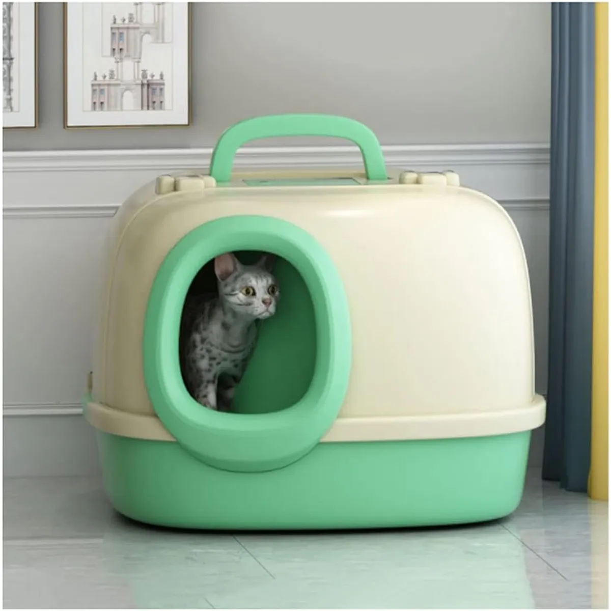 HOOPET - Arenero Para Gatos Con Pasillo Antiderrames Grande Verde Claro