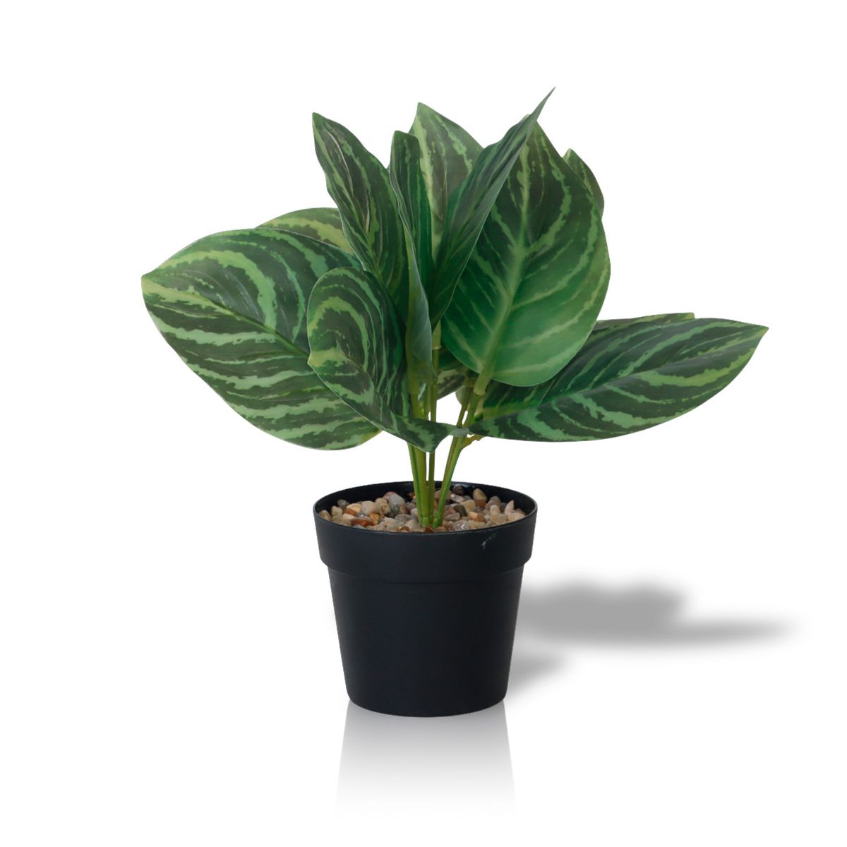INSPIRACCI - Planta Artificial Calathea 23x9 cm