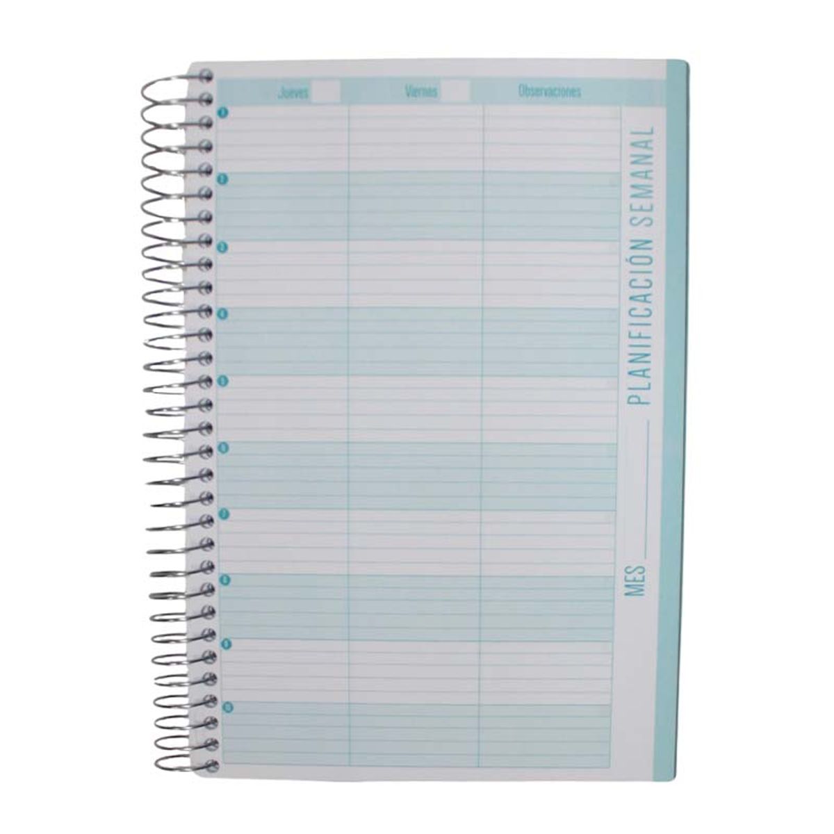 LIBESA - Agenda Del Profesor 2026 Borlando