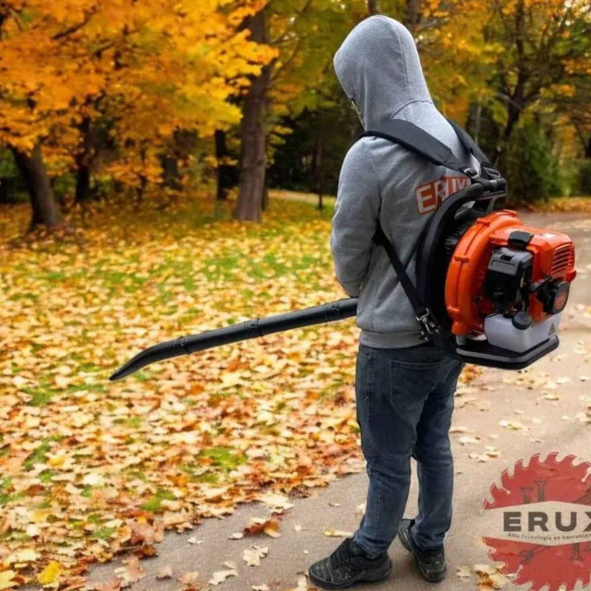 ALTERNATIVE - Soplador De Mochila A Gasolina 63cc 3hp Profesional