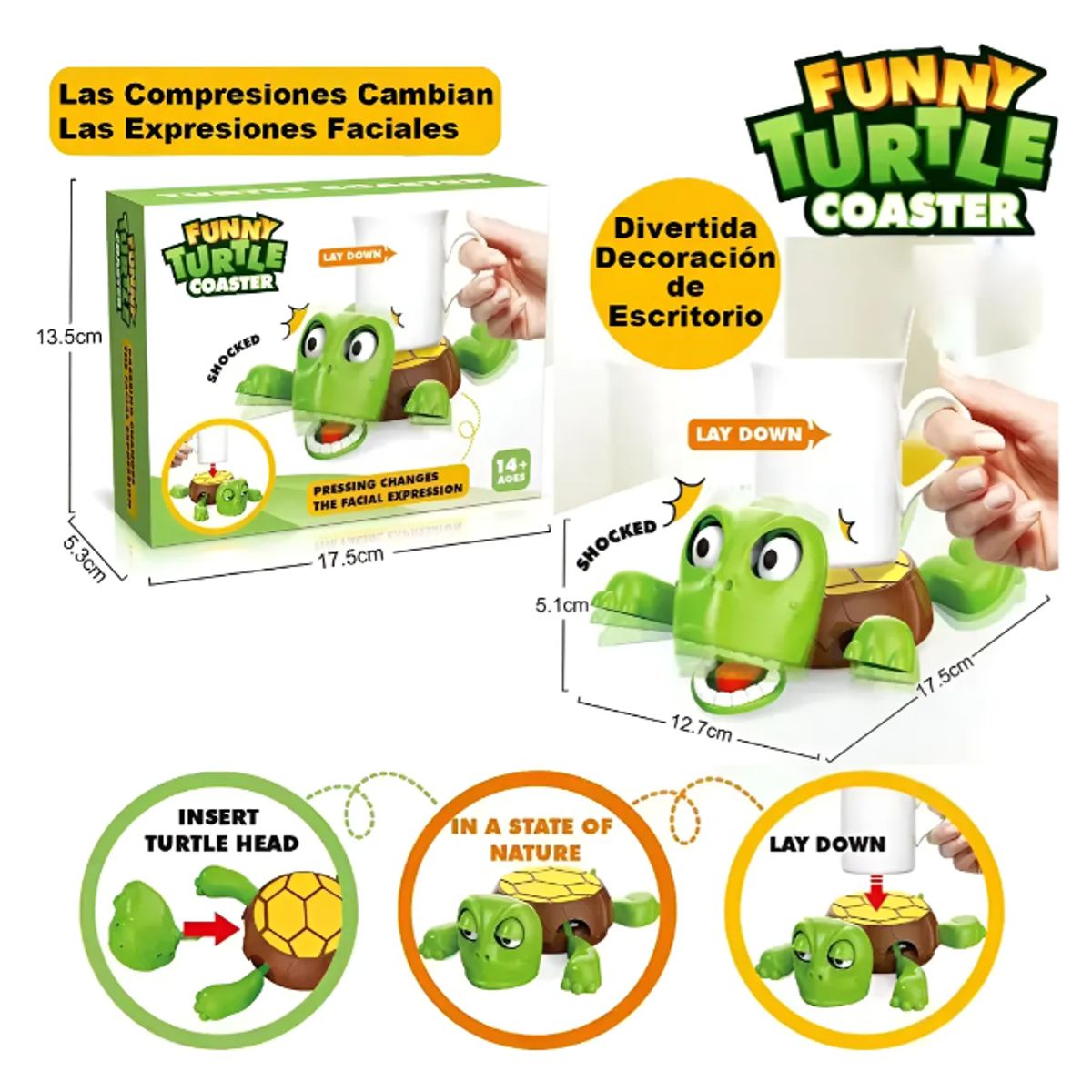 GENERICO - Porta vasos Tortuga Verde Ideal Para oficinas Hogar