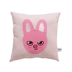 GENERICO - Cojín Bordado Stray Kids Changbin Skzoo Dwaekki