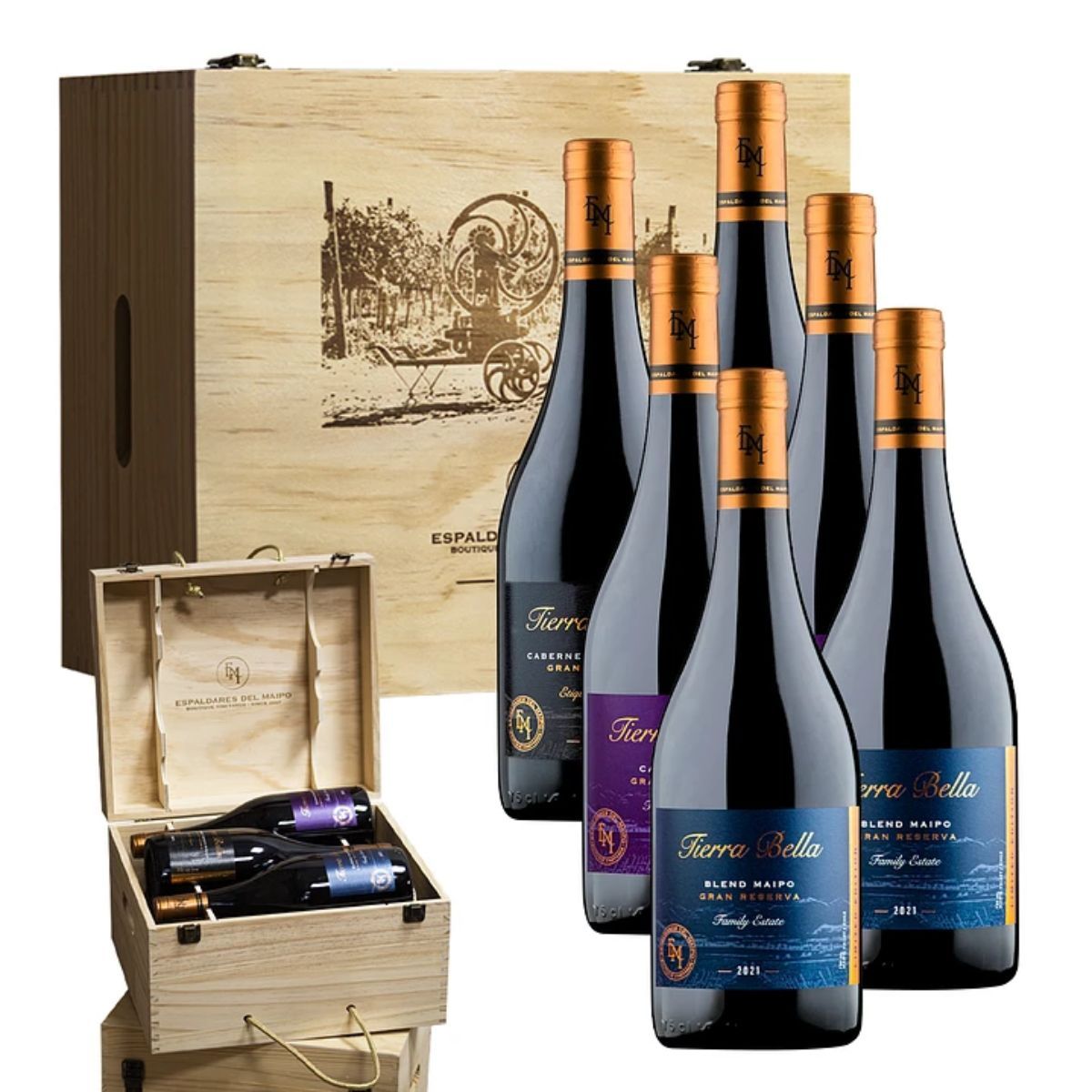 ESPALDARES DEL MAIPO - Cava Madera Vino Tierra Bella Gran Reserva premium