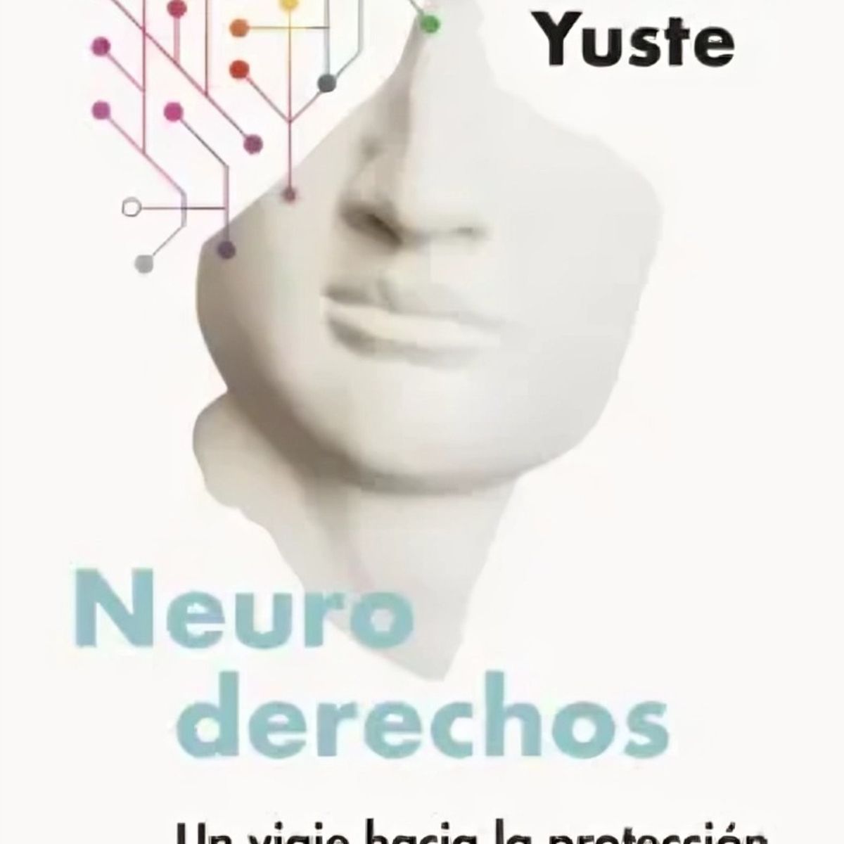 TOP10BOOKS - LIBRO Neuroderechos - Neuroderechos