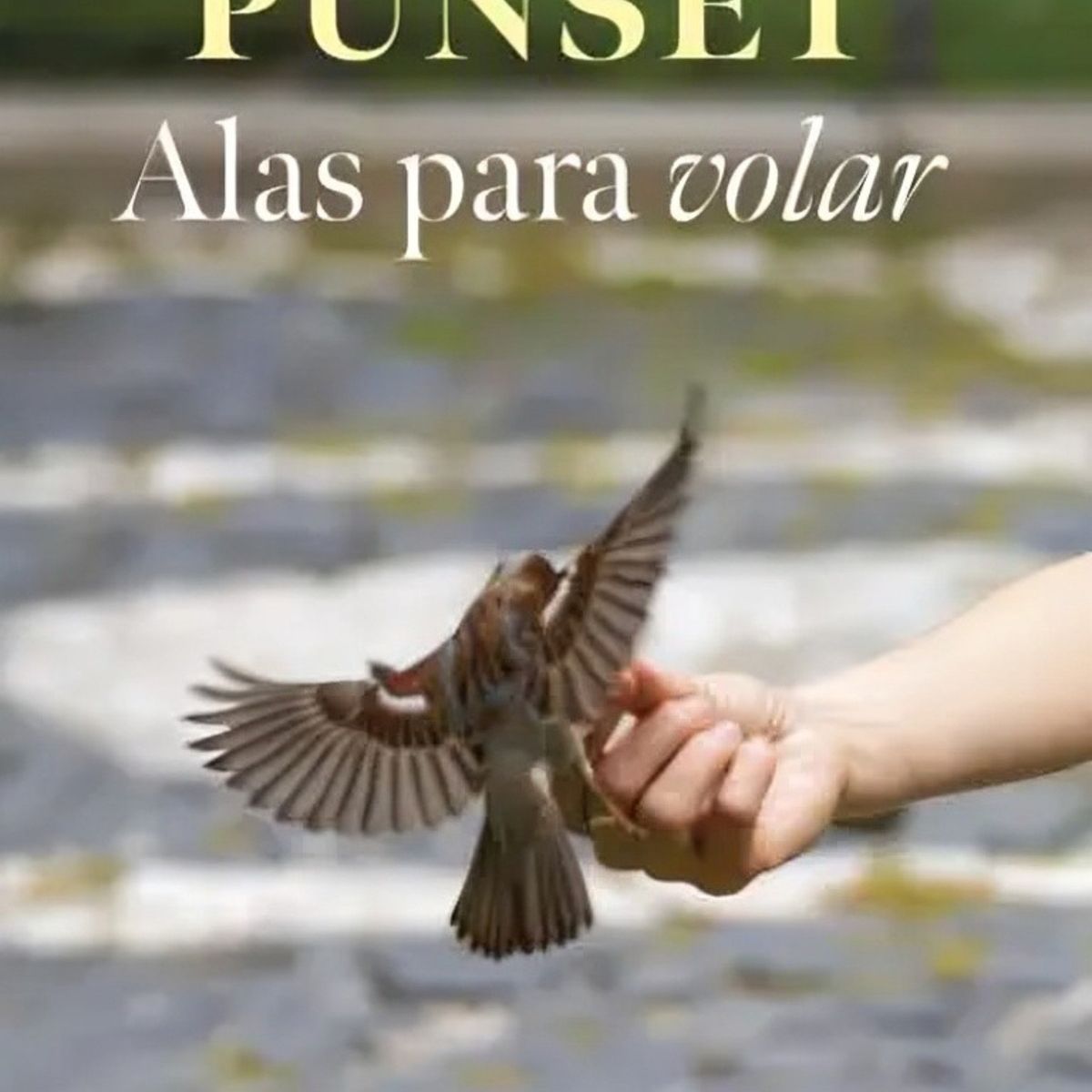 TOP10BOOKS - LIBRO Alas Para Volar - Alas Para Volar