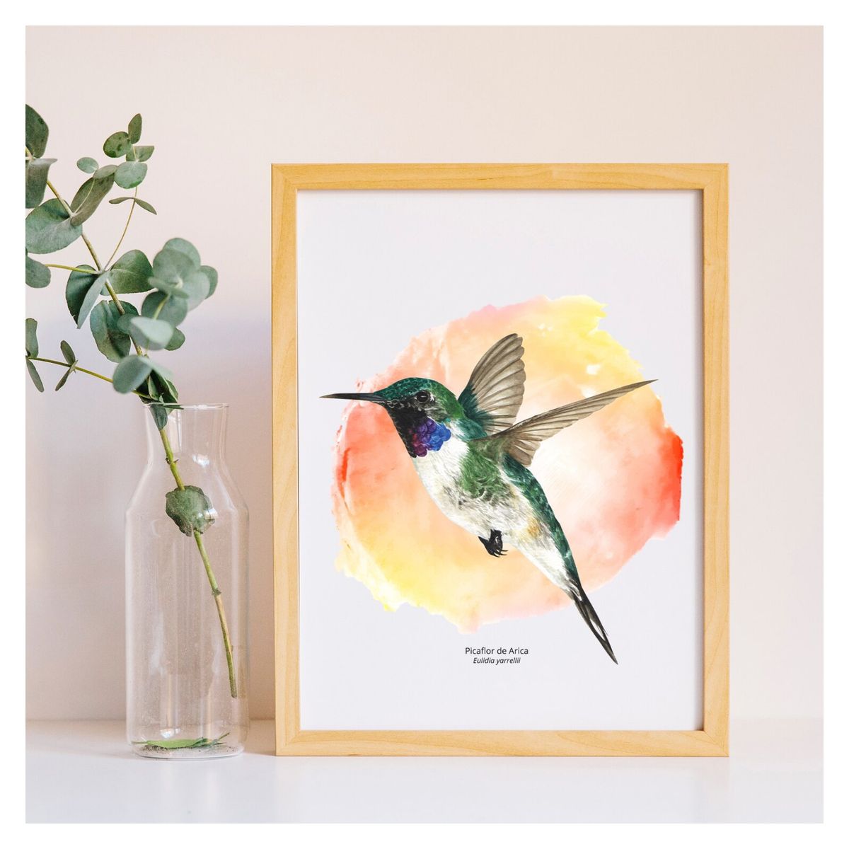 BENDITO - Cuadro Picaflor De Arica N