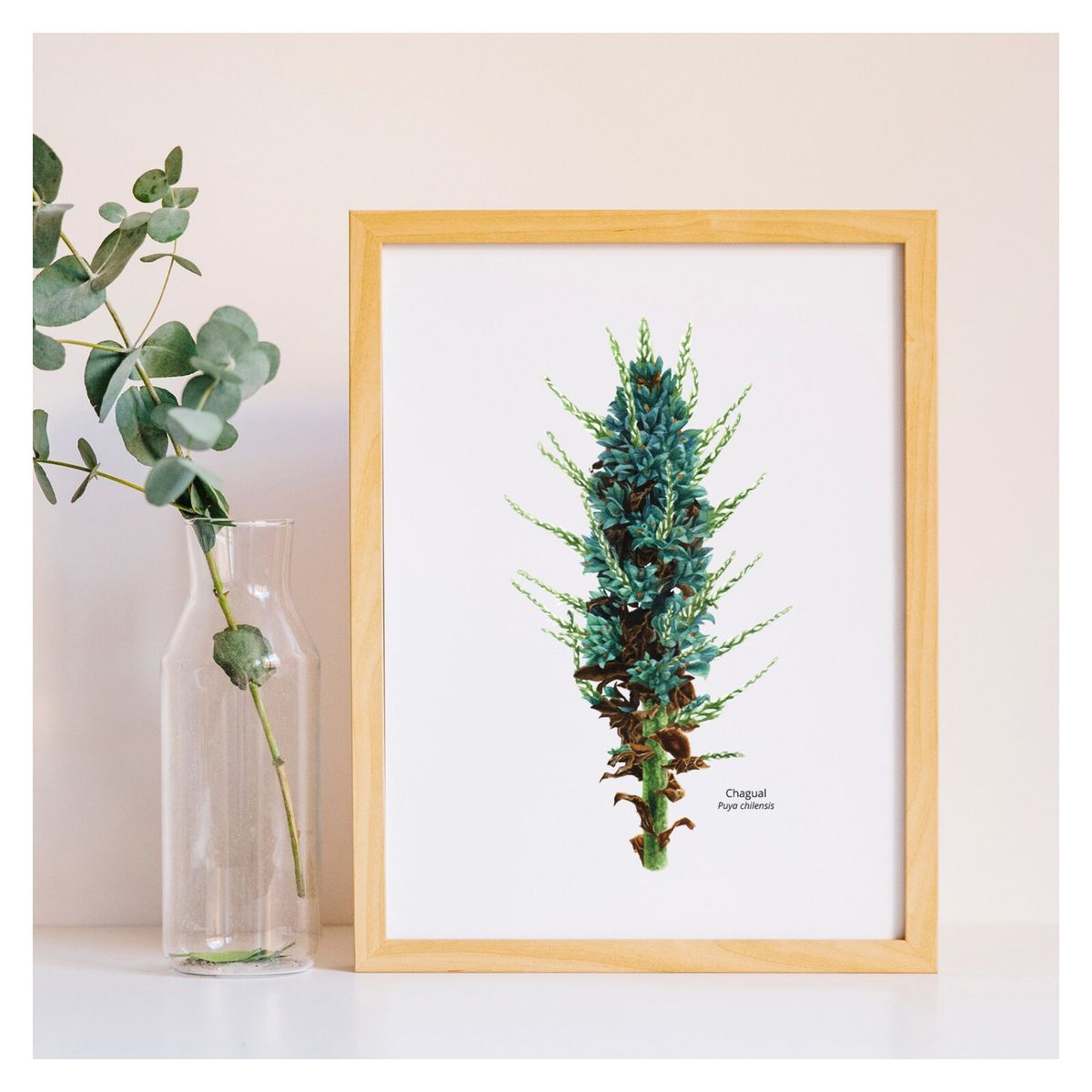 BENDITO - Cuadro Chagual