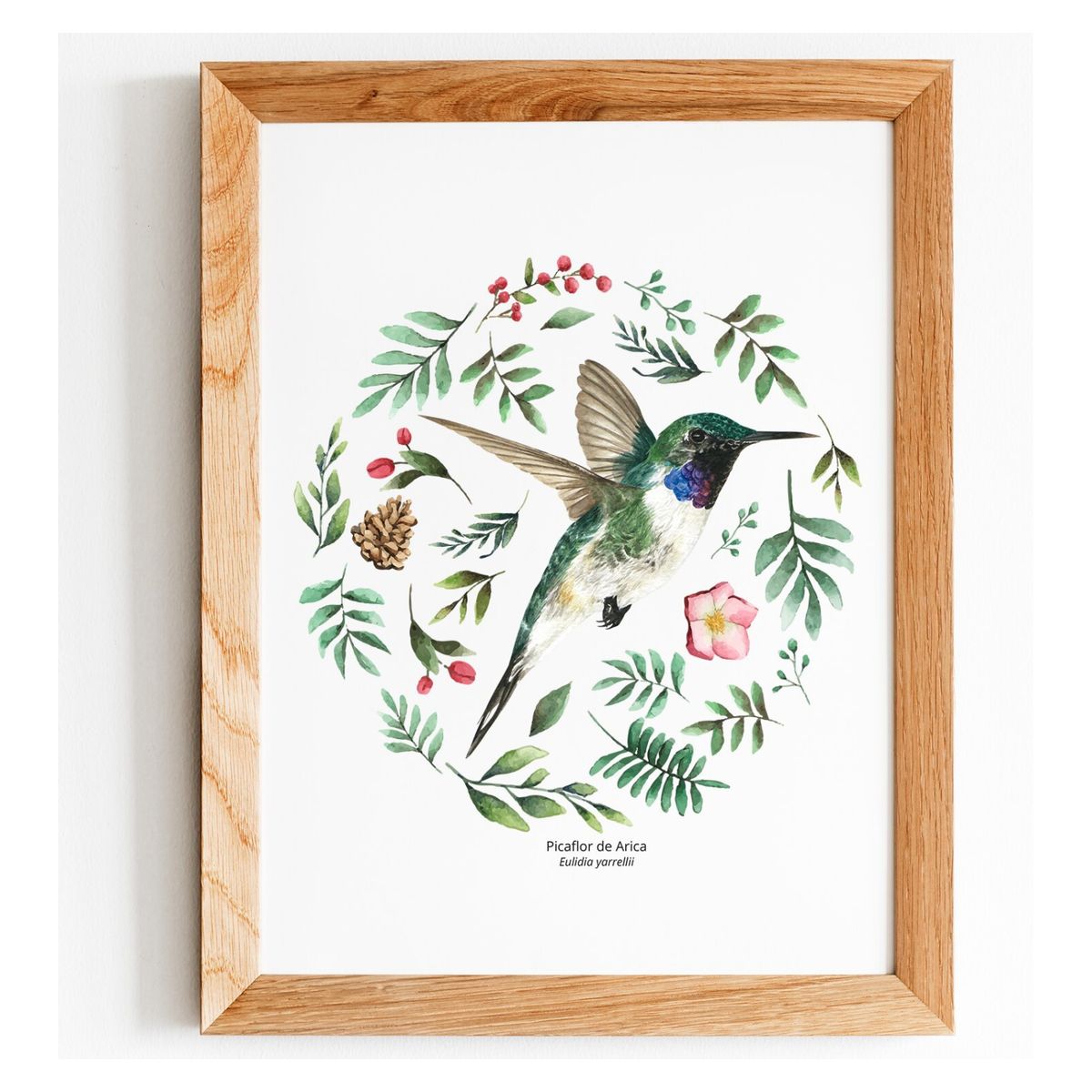 BENDITO - Cuadro Picaflor De Arica