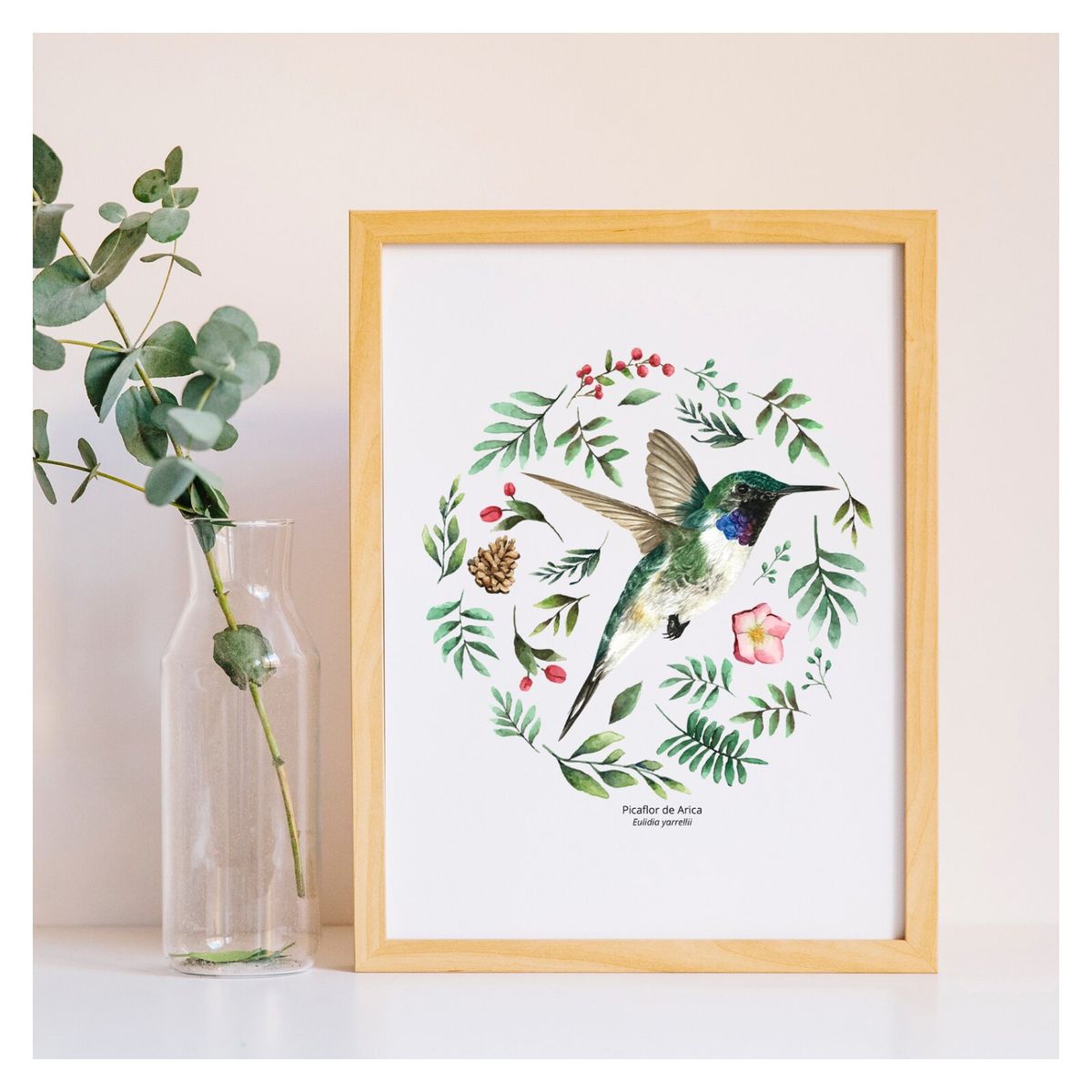 BENDITO - Cuadro Picaflor De Arica