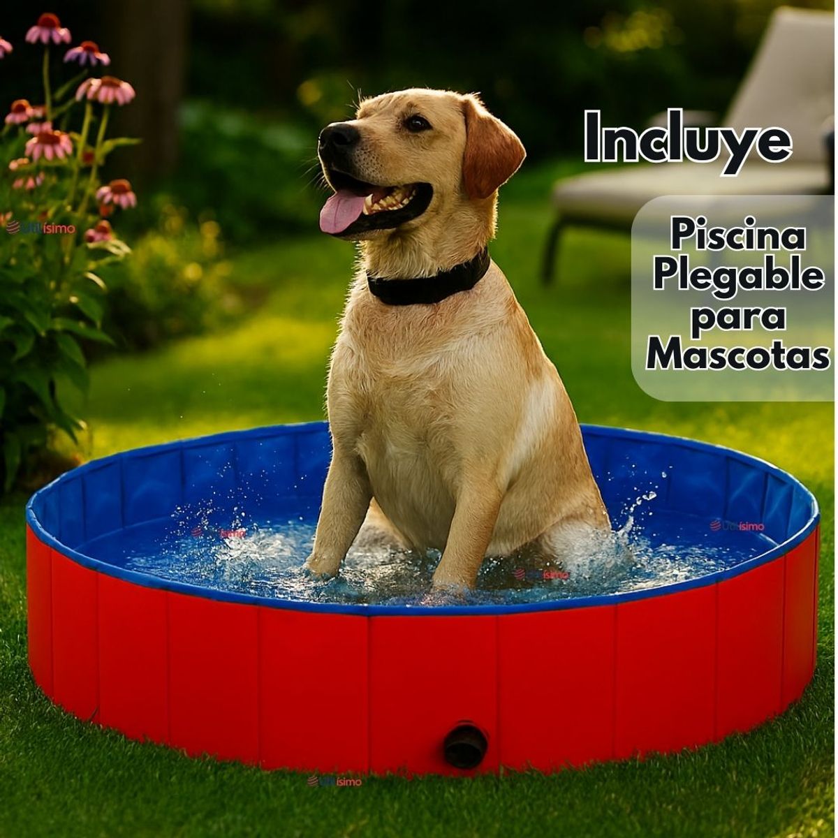LINE - Piscina Bañera Portátil Plegable Para Perros 80x20cm