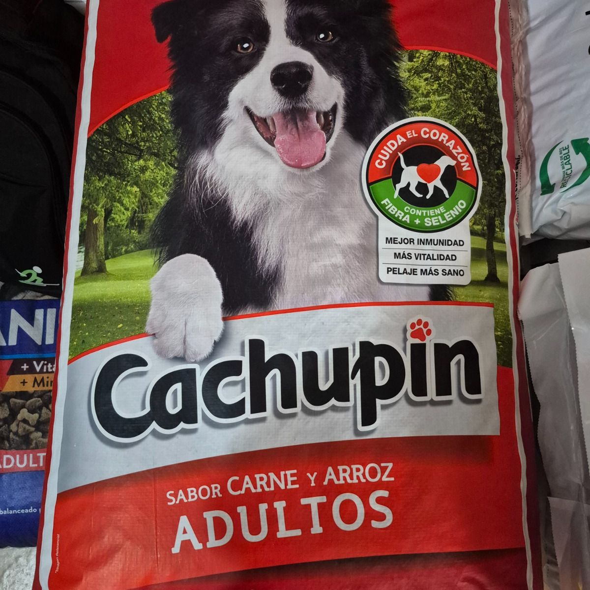 CAROZZI - Cachupin Adulto Sabor Carne Y Arroz De 25kg