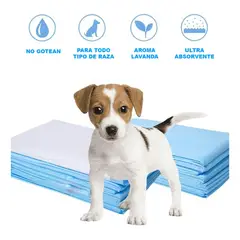 GENERICO - 100 Pañales Sabanillas Mascotas Perros 60x60 Cm