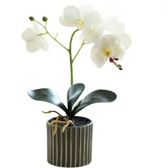 TATEE - Plantas artificiales en maceta Bonsái de Phalaenopsis Blanco