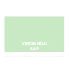 BAUM - TINETA PINTURA ESMALTE AL AGUA - 14-P VERDE NILO