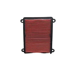 GENERICO - Filtro aire Moto Zontes ZT310VV1VX Original