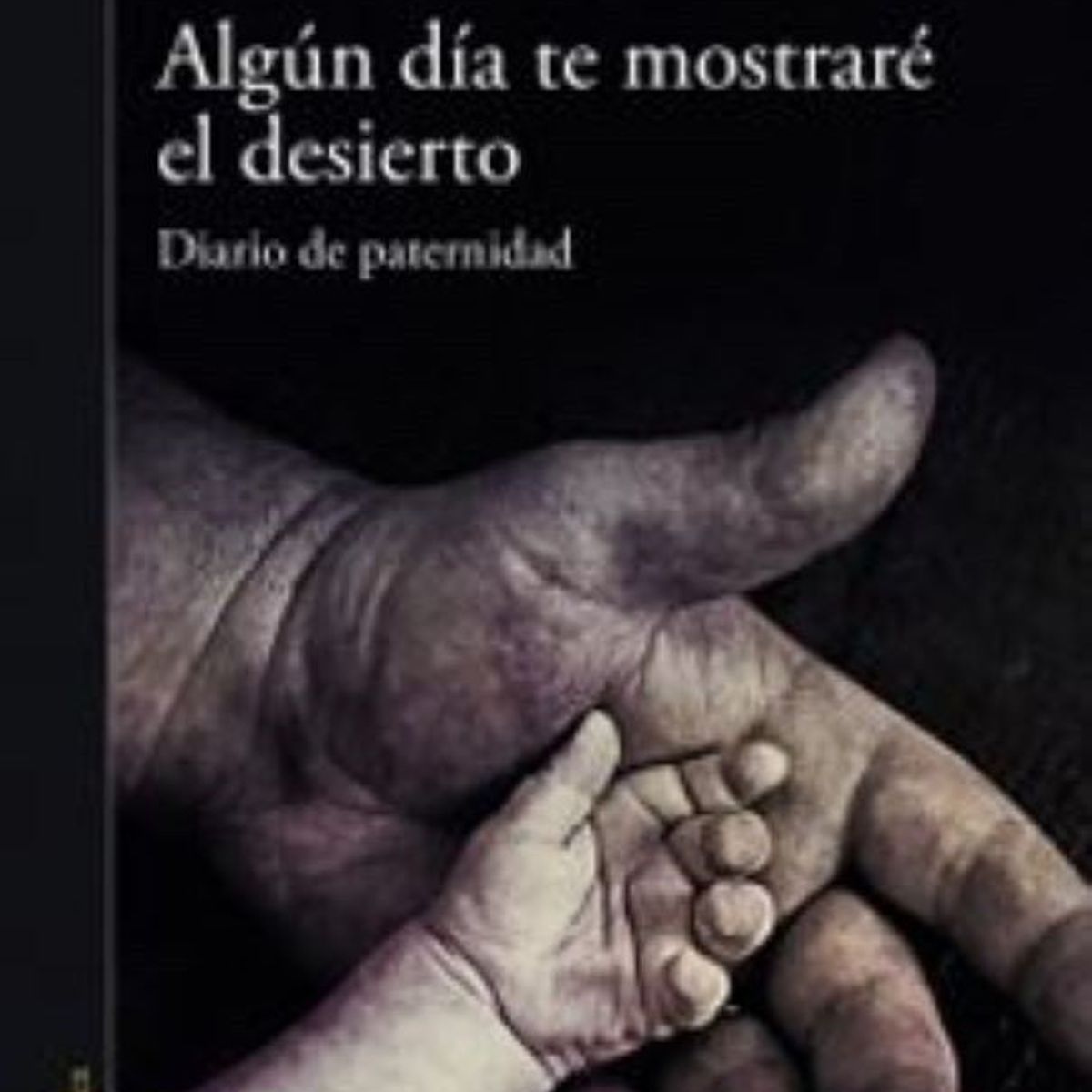 ALFAGUARA - ALGUN DIA TE MOSTRARE EL DESIERTO