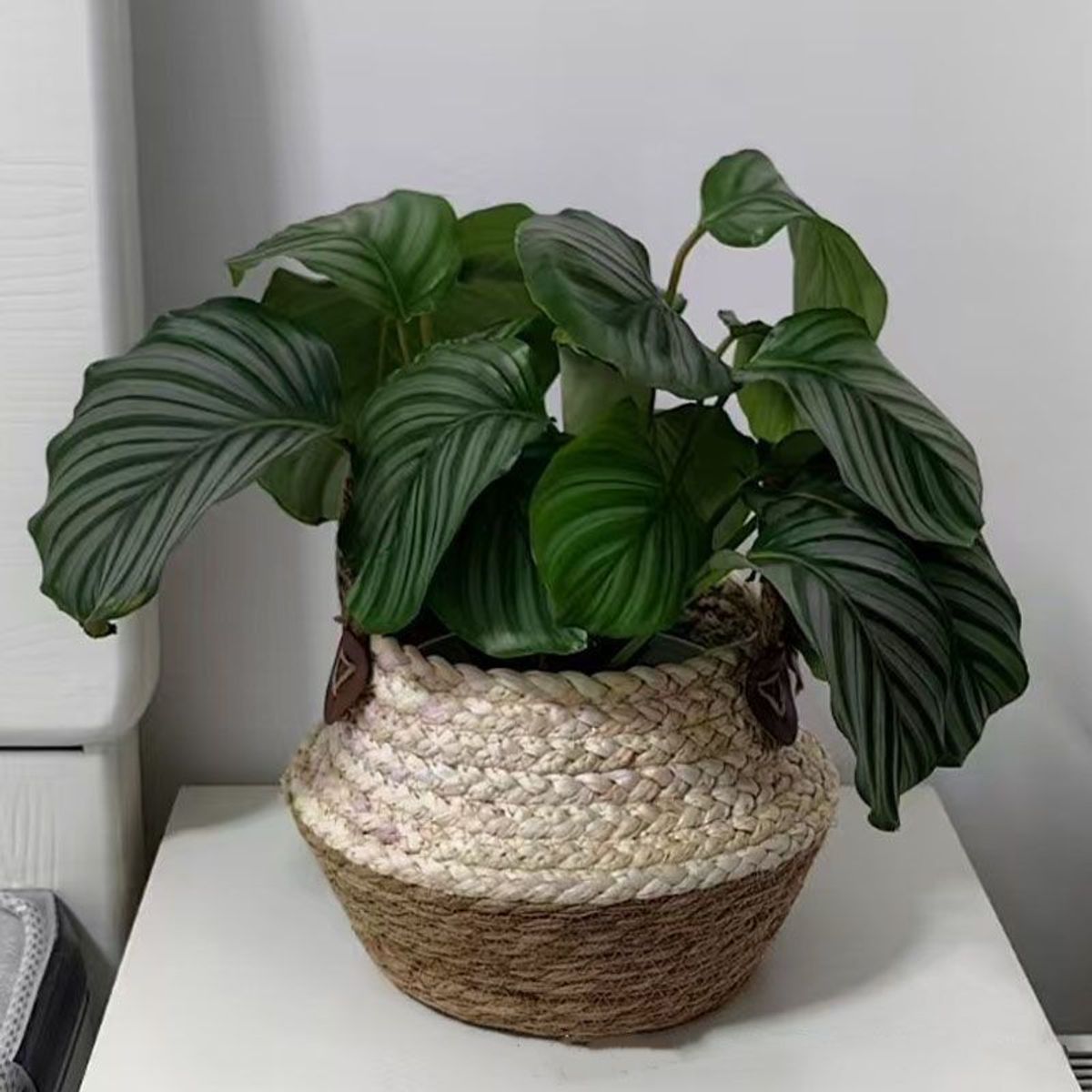 TATEE - Macetas tejidas M Con revestimiento de plástico 26×22cm