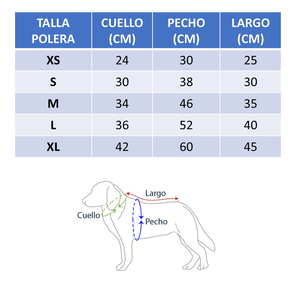 MASCOTACHIC - Polera Rock Star talla XS