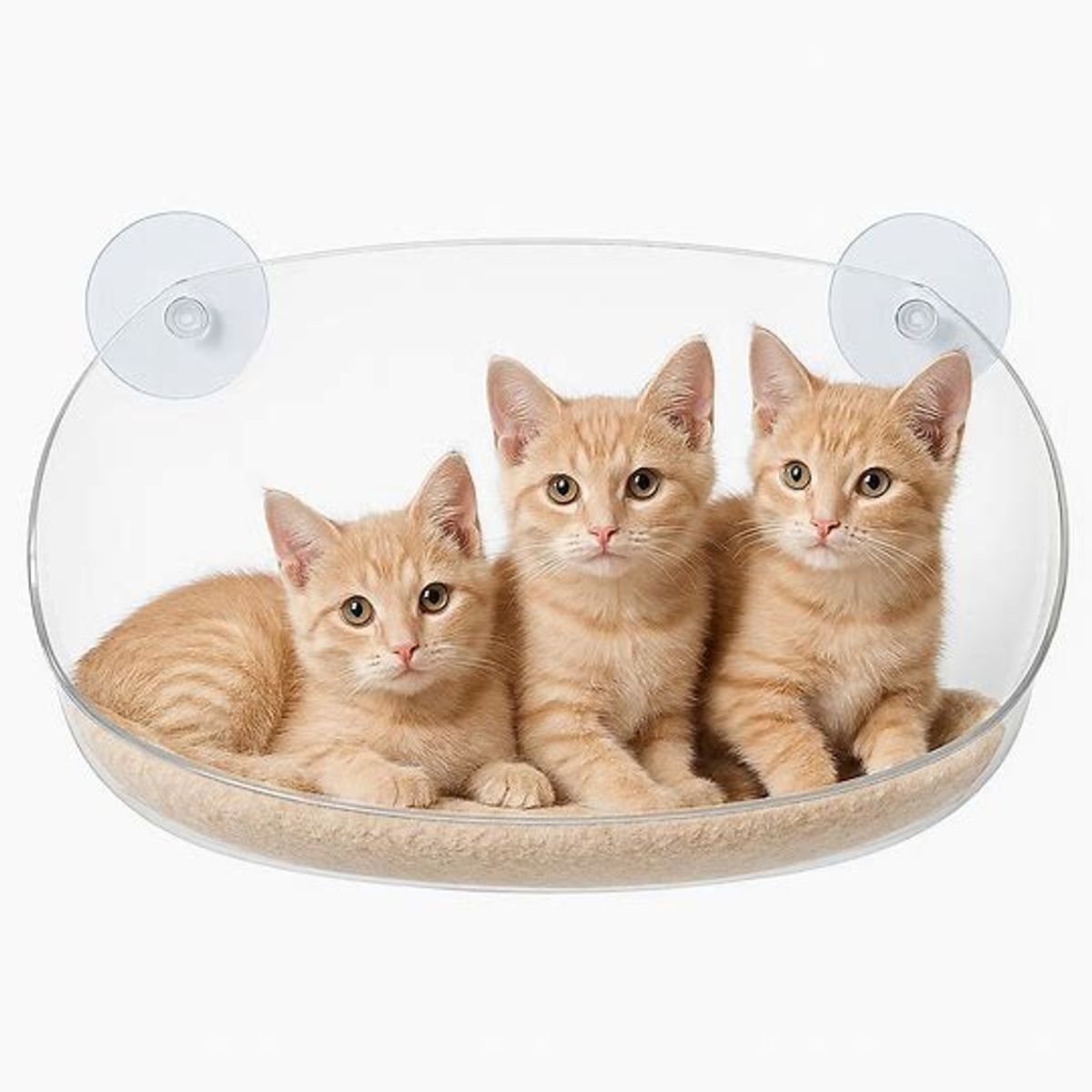HOOPET - Hamaca Transparente Para Gato Adherible a Ventana
