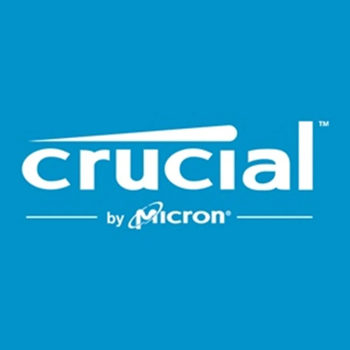 CRUCIAL - Ssd M.2 (2280) - 1 Tb - Crucial P310 - Nvme Pcie 4.0 X4