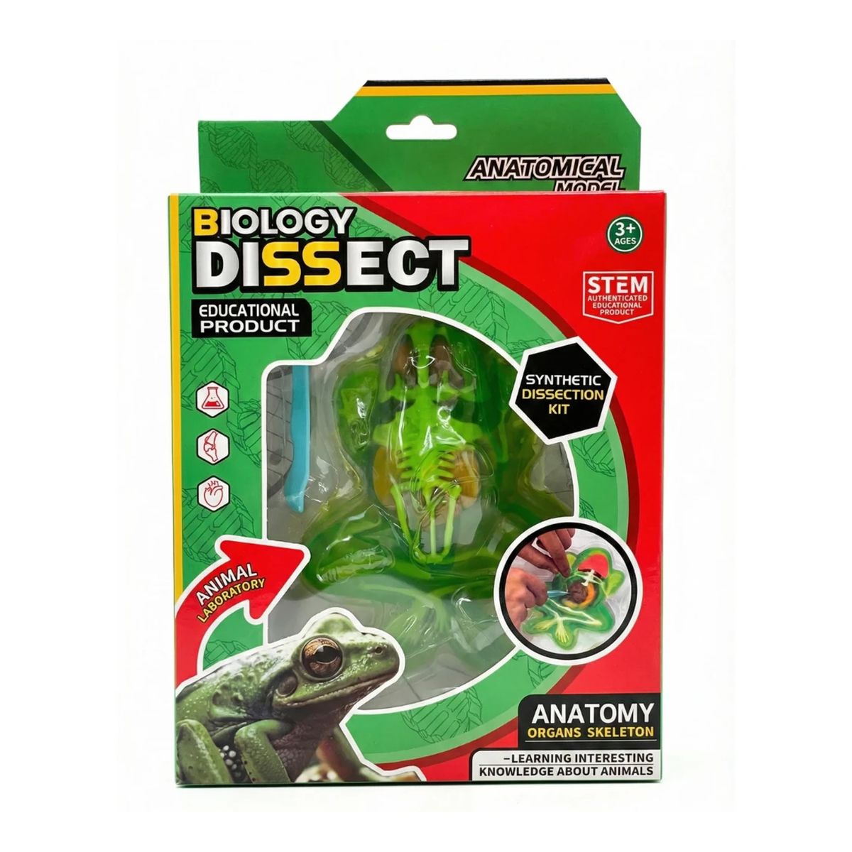 GENERICO - Juguete Educativo Laboratorio Explora la Rana