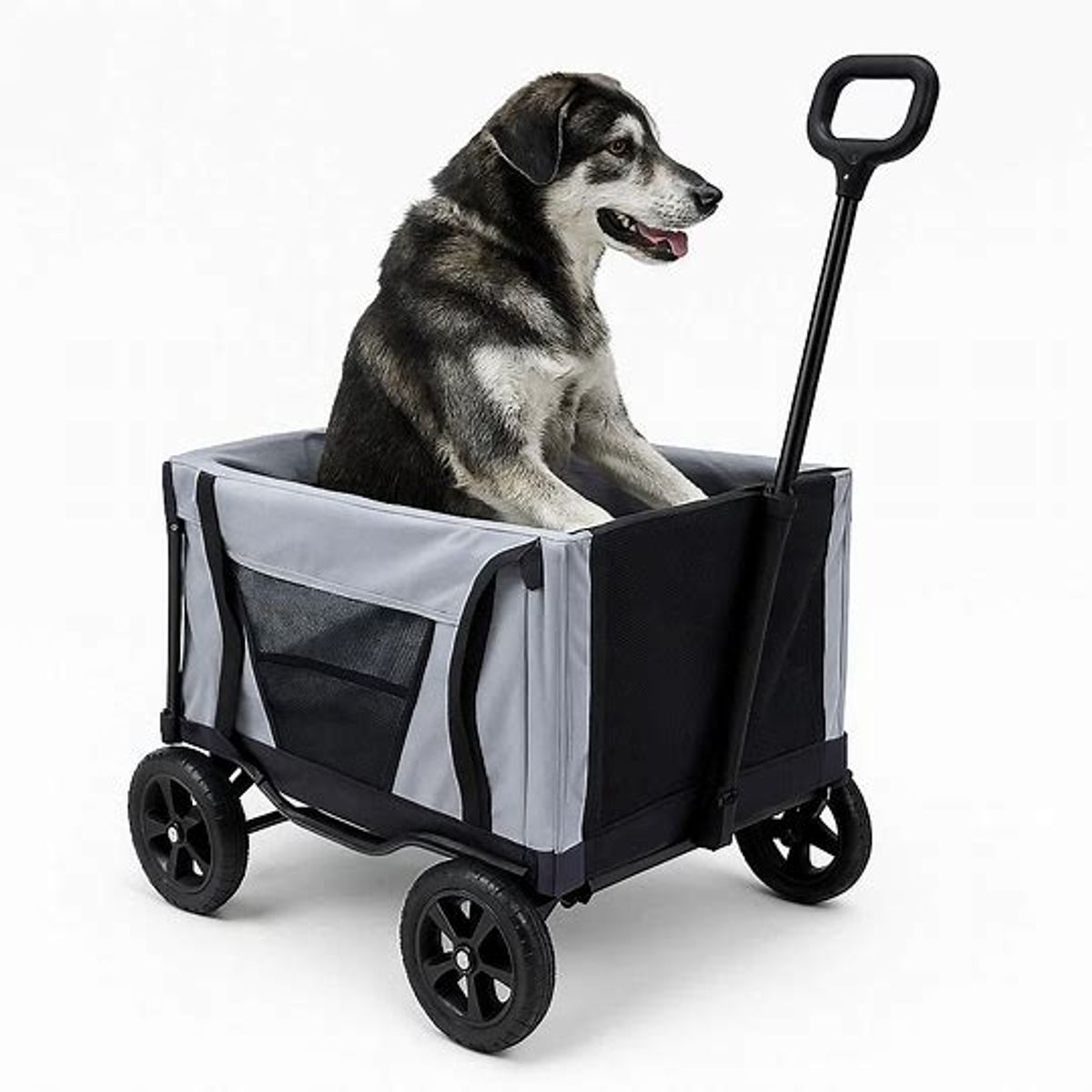 HOOPET - Carro De Transporte y Bolsa 2 En 1 Para Mascotas Pet Trolley
