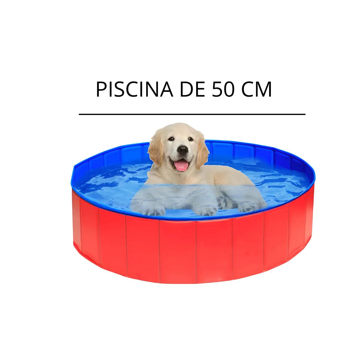 GENERICO - PISCINA PLEGABLE 50CM PARA MASCOTAS VERANO
