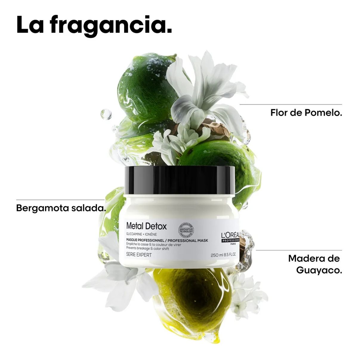 LOREAL PROFESSIONNEL - Máscara Loreal Metal Detox 250ml