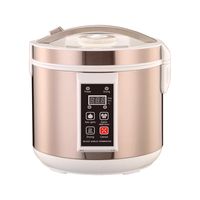 Fermentador De Ajo Az-115 - 5 Litros