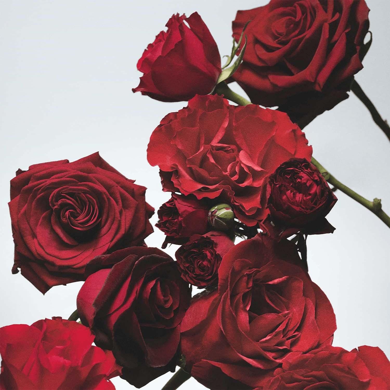 JO MALONE LONDON Cologne Red Roses 100 ml Jo Malone London