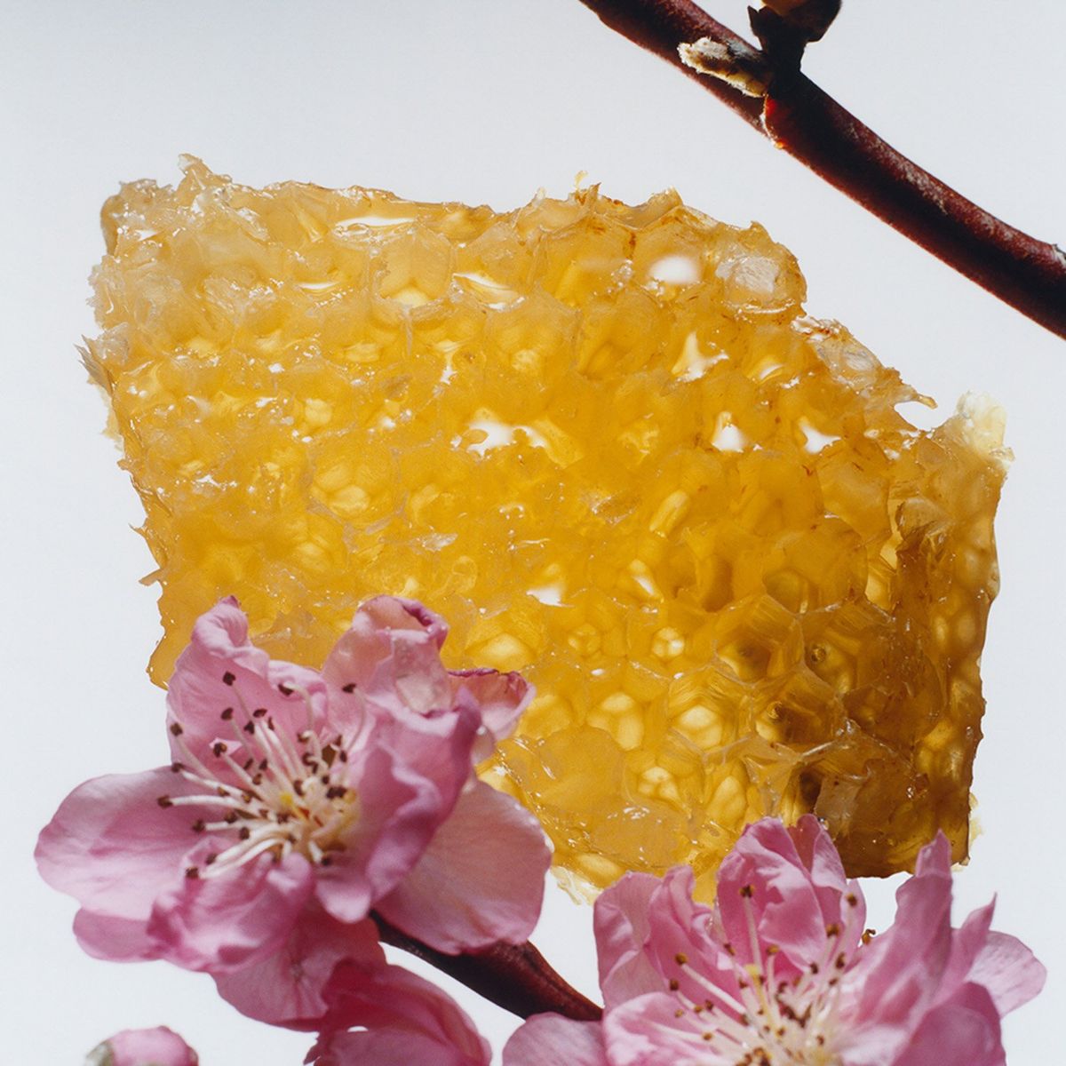 JO MALONE LONDON - Perfume Nectarine Blossom And Honey Cologne 30 Ml Jo Malone London