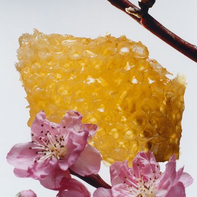 Imagen 2 del producto Perfume Nectarine Blossom And Honey Cologne 30 Ml