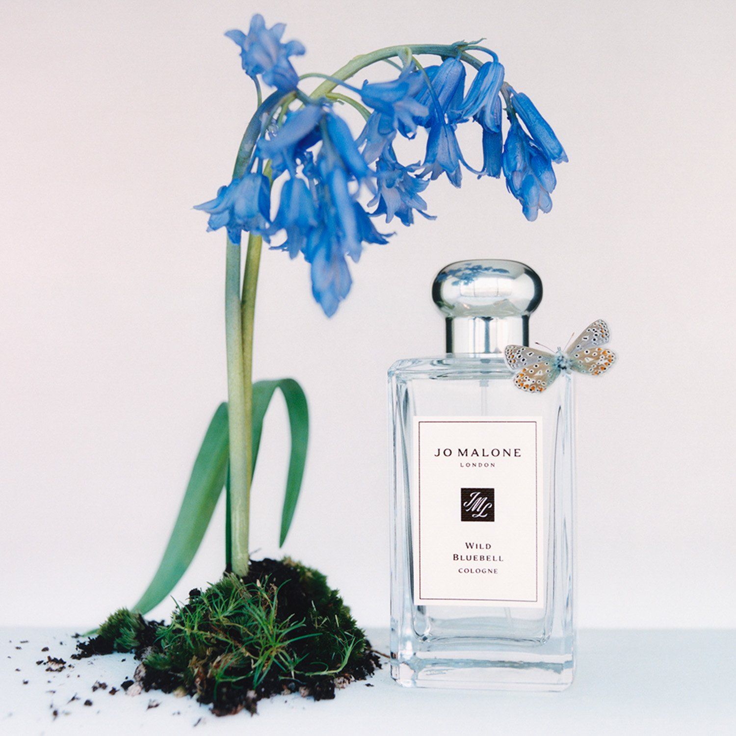 JO MALONE LONDON Cologne Wild Bluebell 100 ml Jo Malone London