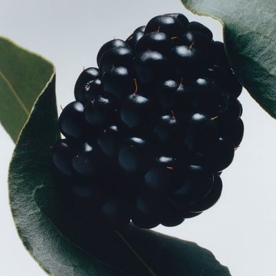 Imagen 2 del producto Perfume Blackberry And Bay Cologne 100 Ml