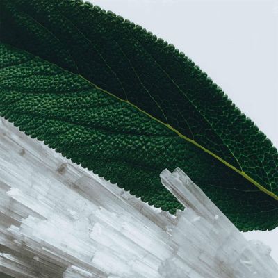 Imagen 2 del producto Cologne Wood Sage & Sea Salt 30 ml