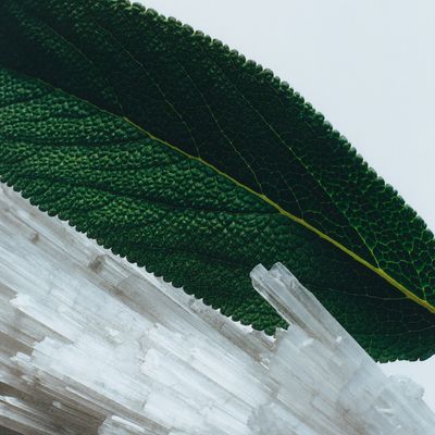 Imagen 2 del producto Vela Wood Sage & Sea Salt 200 Gr