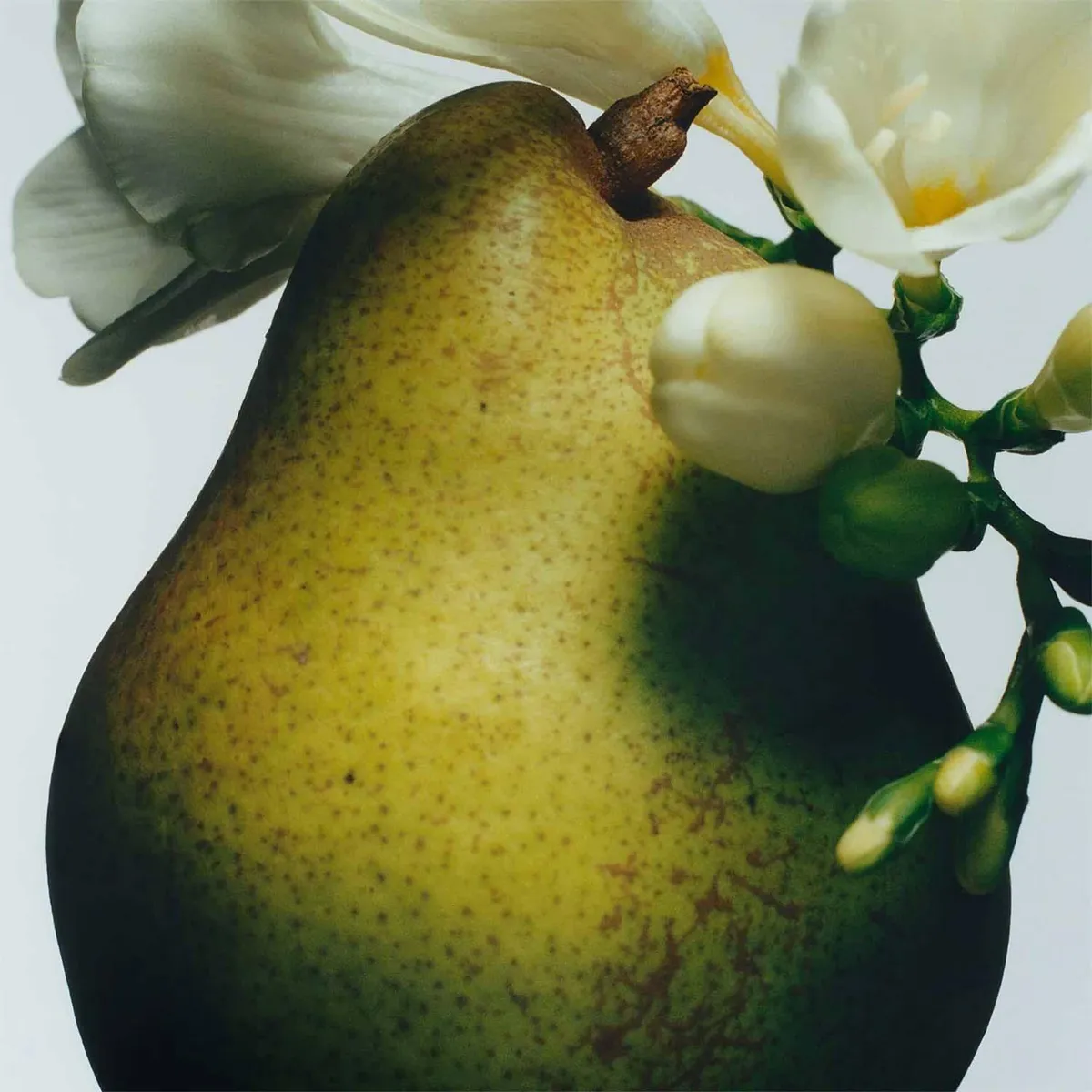 JO MALONE LONDON - Loción de Cuerpo English Pear And Freesia 250 Ml Jo Malone London