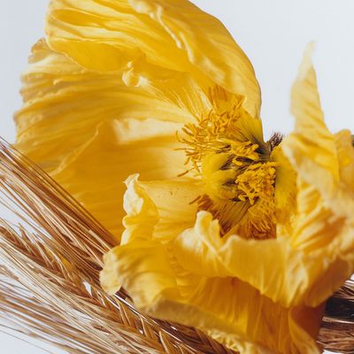 Imagen 2 del producto Cologne Poppy and Barley 100 ml