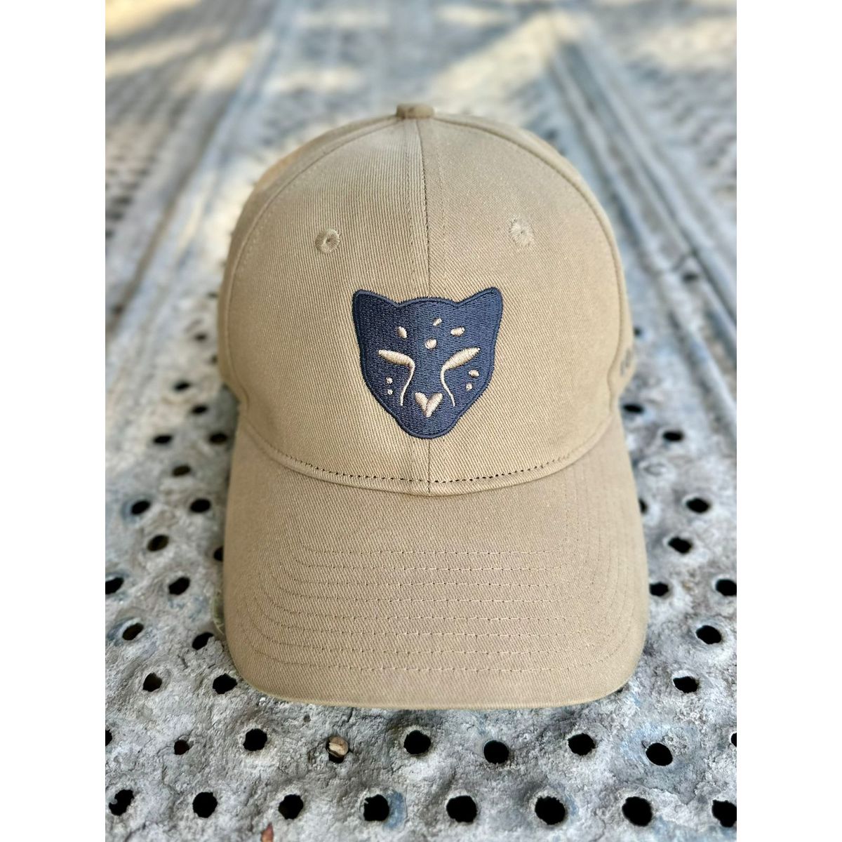 GENERICO - 3. Grey_Cheetah