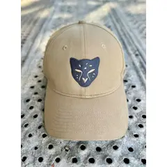 GENERICO - 3. Grey_Cheetah
