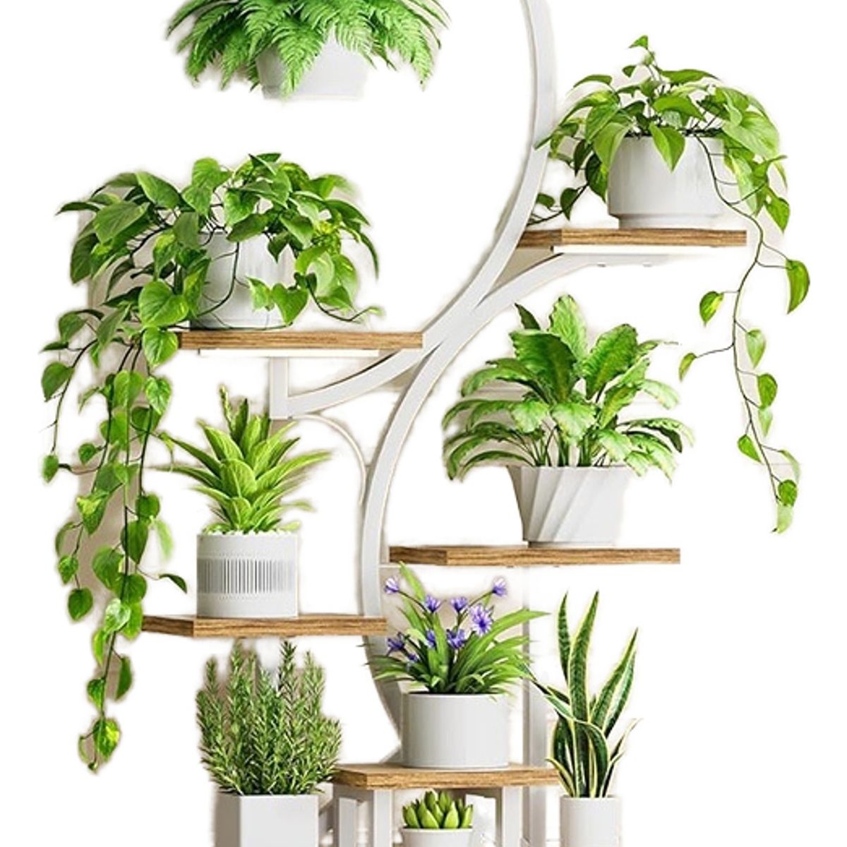 ANYHOGAR - Organizador Repisa Decoración Estante Planta Librero Con Luz