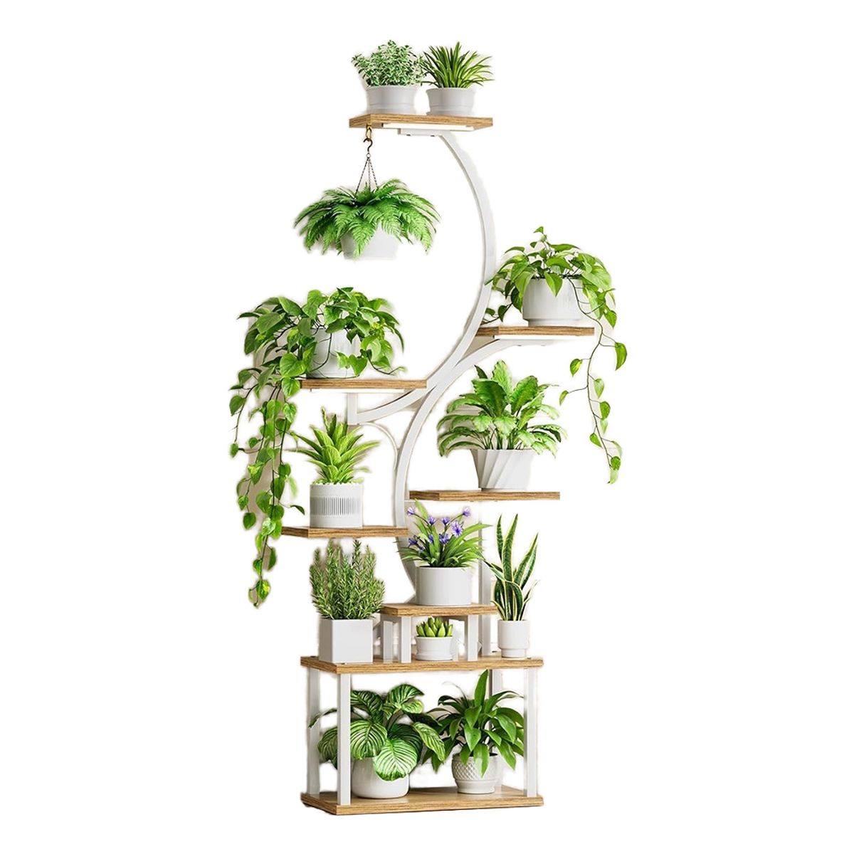 ANYHOGAR - Organizador Repisa Decoración Estante Planta Librero Con Luz