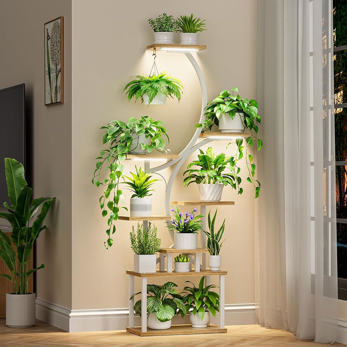 ANYHOGAR - Organizador Repisa Decoración Estante Planta Librero Con Luz