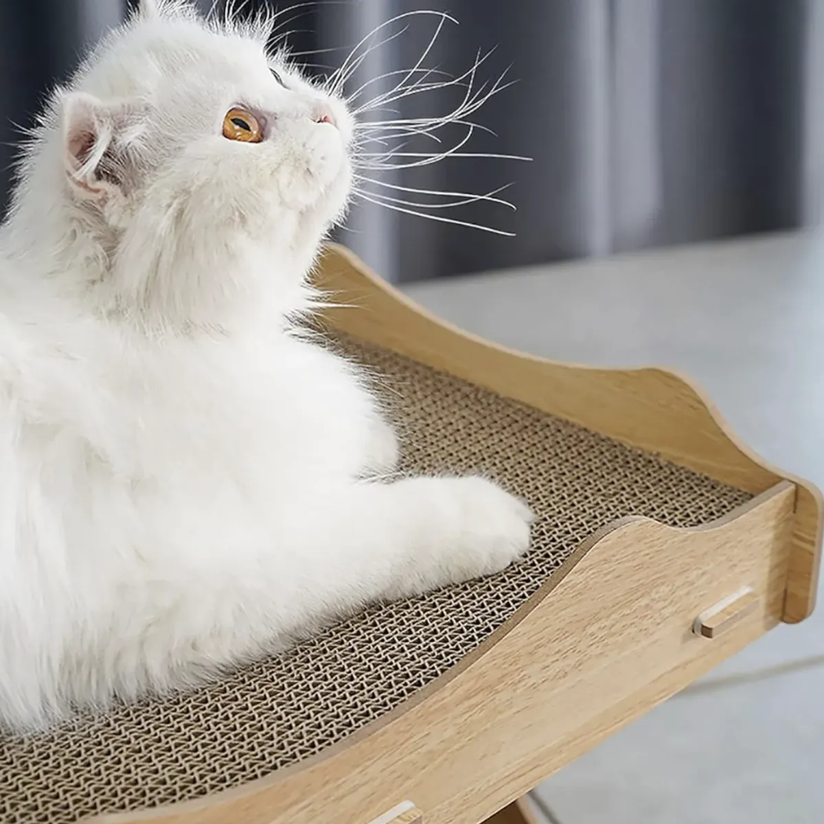 OKAY - Rascador Estilo Casa Cueva Para Gatos Con Doble Rascador