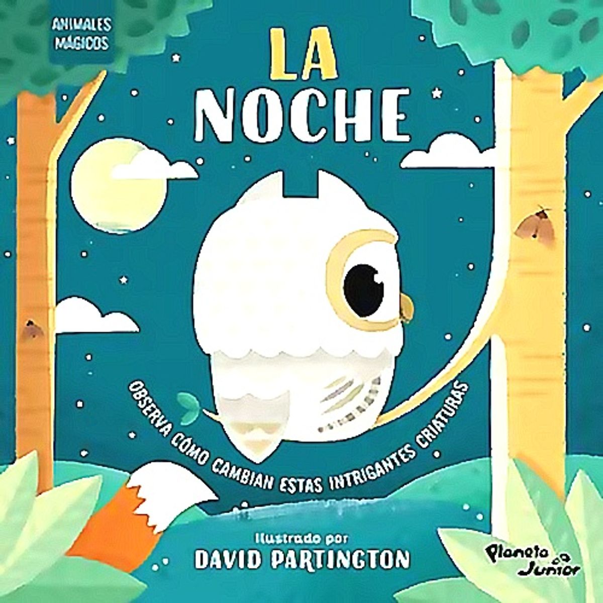 PLANETA JUNIOR - Libro Animales mágicos. La noche - Varios Autores