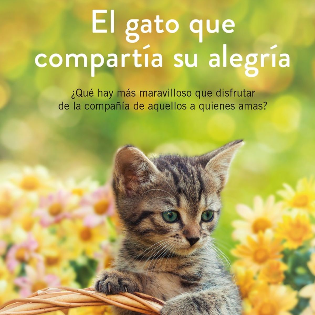 ANTARTICA LIBROS - El Gato Que Compartia Su Alegria