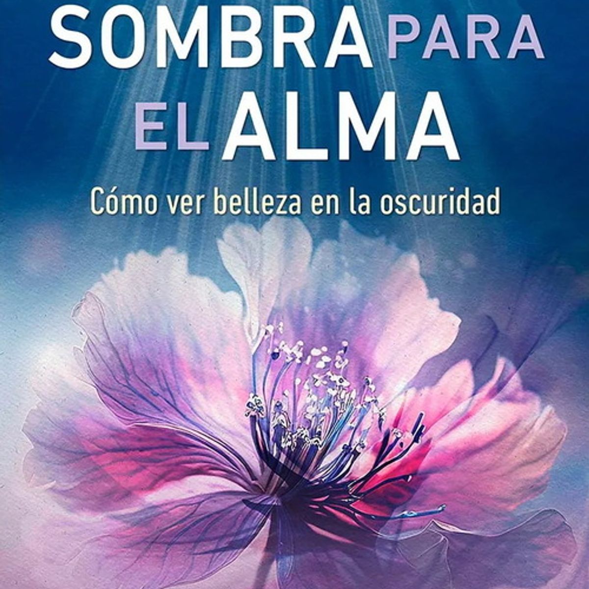 ANTARTICA LIBROS - Trabajo De Sombra Para El Alma