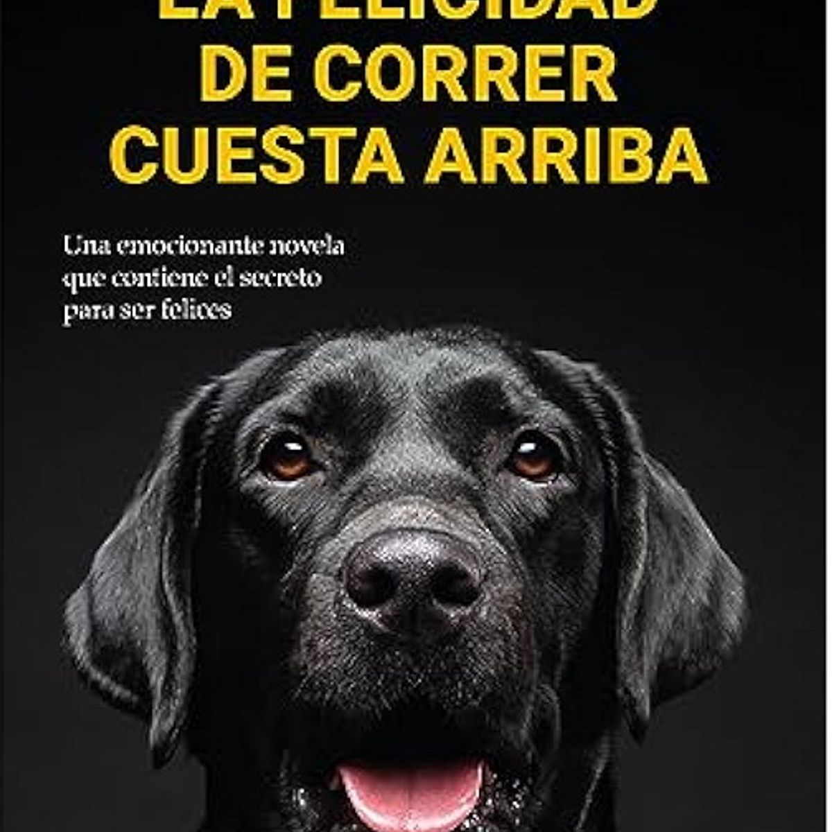 ANTARTICA LIBROS - La Felicidad De Correr Cuesta Arriba