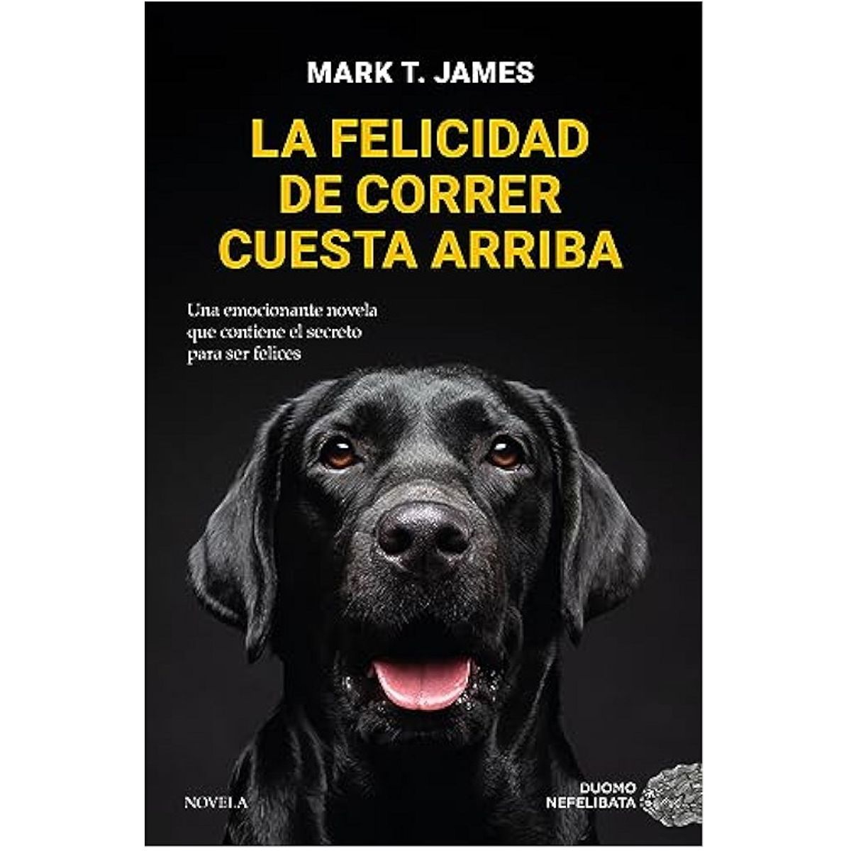 ANTARTICA LIBROS - La Felicidad De Correr Cuesta Arriba